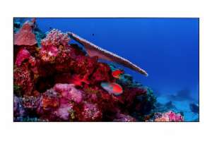  Фото видеостена 4x3 eliteboard 49" bb495fcbed - фото 3