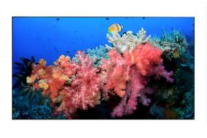  Фото видеостена 4x4 eliteboard 55" bb558fcbed - фото 3