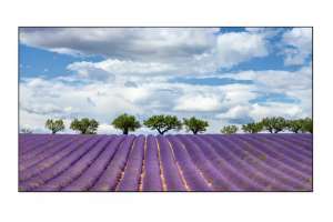  Фото видеостена 3x2 eliteboard 55" pk555fdln - фото 3