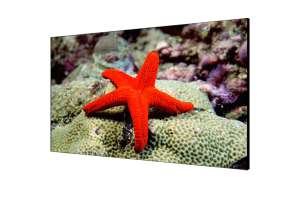  Фото видеостена 4x4 hikvision 46" ds-d2046lu-y - фото 3