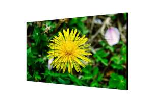  Фото видеостена 4x4 hikvision 55" ds-d2055he-g - фото 3