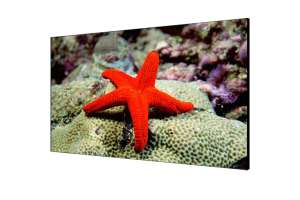  Фото видеостена 3x3 hikvision 55" ds-d2055lr-g - фото 3