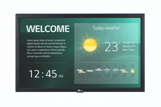 Изображение Информационный дисплей LG 22" 22SM3G