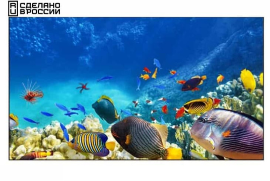 Изображение Панель для видеостен EliteBoard 49" BE-49C5